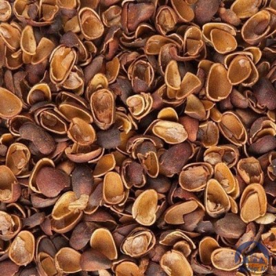 Скорлупа Кедрового Ореха (Barus Nut Shell) купить в Астрахани