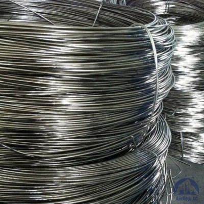 Проволока титановая 6 мм 2В купить в Астрахани