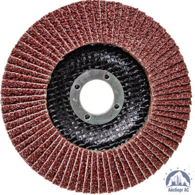 Круг лепестковый КЛТ 125х22 мм, P80, Elitech, 1820,039100 купить в Астрахани